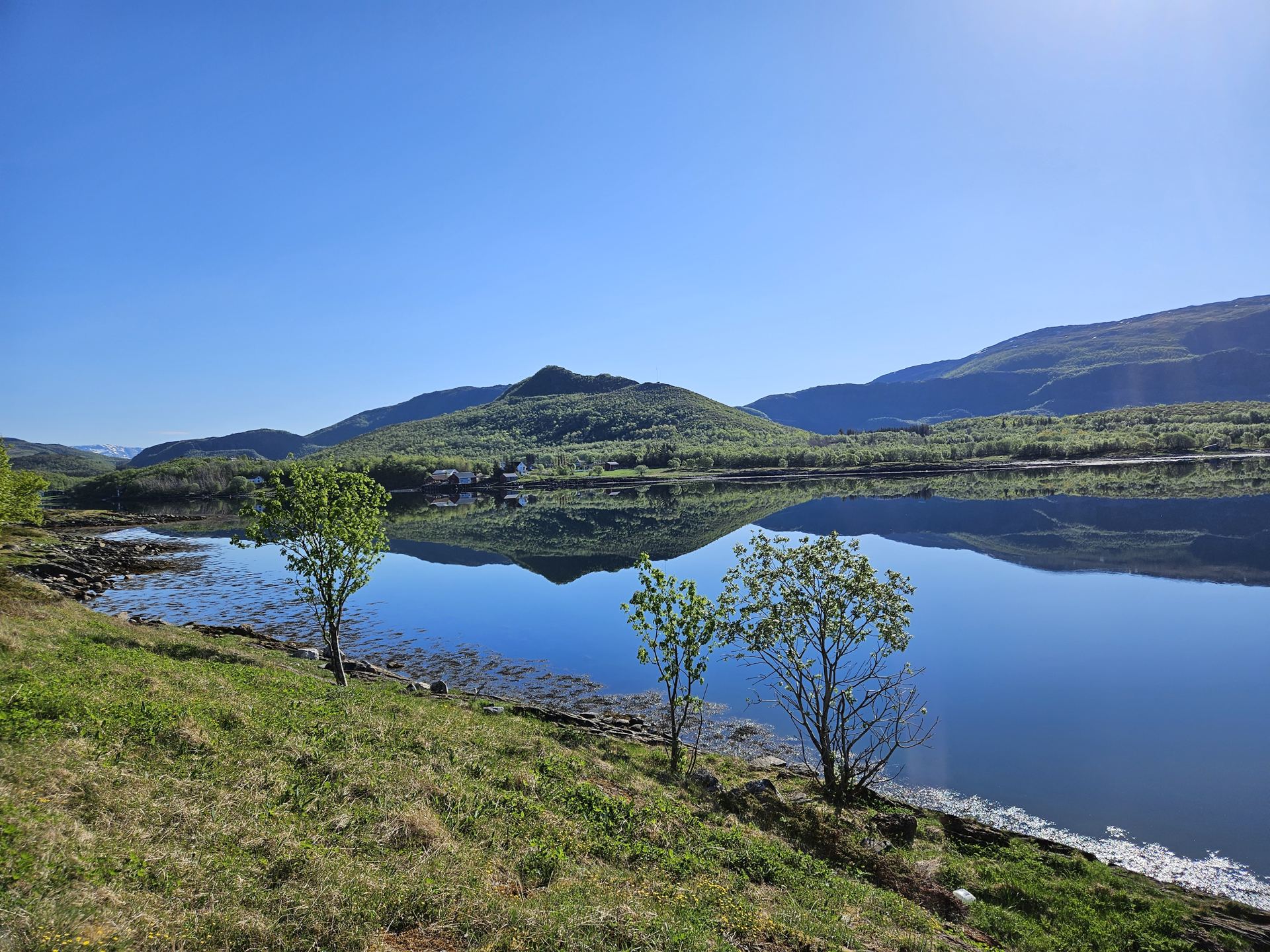 Sommerlandskap på Galtneset med grønne bakker, stille fjord og fjell i horisonten