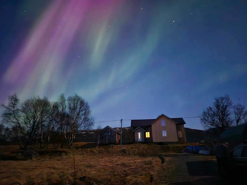 Nordlys i grønt og fiolett over Galtnesethuset