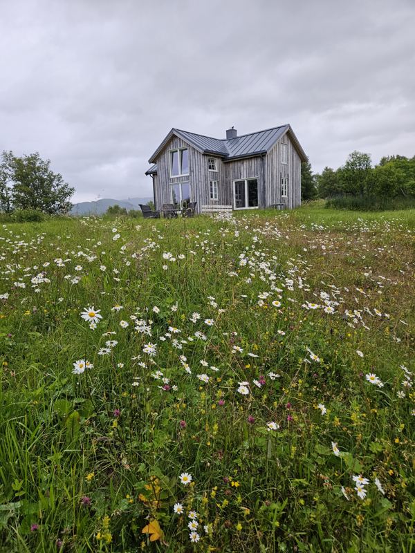Galtnesethuset bak en blomstereng i full sommer