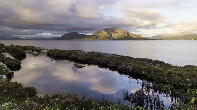 Myr, vann og fjordlandskap