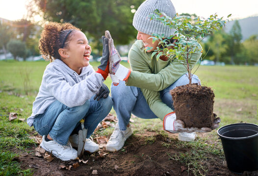 Planting av tre i hage